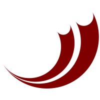 cyberise GmbH logo - Similar company to Delphi Artificial Agents