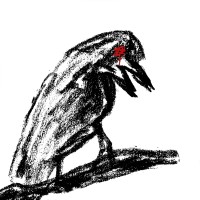 Poetonic logo - Similar company to Pelu