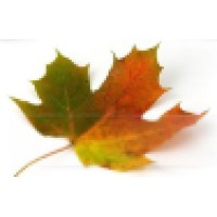 Pacht It & Design