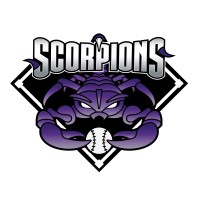 Scorpions Baseball Club LLC logo - Similar company to C & I Enclosures
