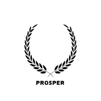 Prosper Financial LLC logo - Similar company to Tidal Wave Customs