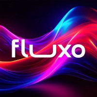 Fluxo logo - Similar company to Code Money