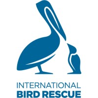 International Bird Rescue logo - Similar company to Conservify