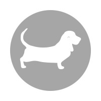 Animal Hospital Maple Orchard