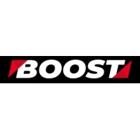 Boost Cognition Ltd logo - Similar company to The Wellbeing Advantage