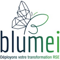 BLUMEI logo - Similar company to Bluecourses