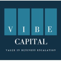 VIBE Capital logo - Similar company to Meu Rh 360