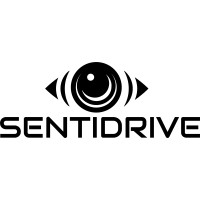 SENTIDRIVE logo - Similar company to Bimedoc