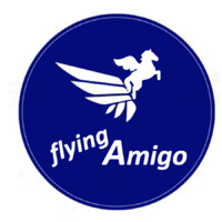 flyingAmigo logo - Similar company to Purely Cloud
