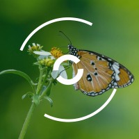 GROWTHCAP Impact Advisory logo - Similar company to Spinview