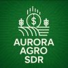 AURORA AGRO CONSULTORIA logo - Similar company to Bluebi Solution