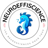 Neuroeffiscience logo - Similar company to Brainbow.It