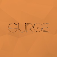 Surge Digital logo - Similar company to Surge Digital