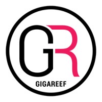 Gigareef logo - Similar company to Bauman Studio