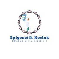 Epigenetik Koçluk logo - Similar company to Epigenetics
