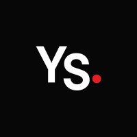 YoungShand. logo - Similar company to Bcg2
