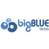 Big Blue Farms