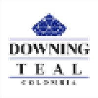 Downing Teal Colombia