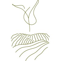 Matcha Forest logo - Similar company to Matchaeologist