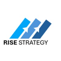 Rise Strategy Consulting logo - Similar company to Digital Wealth Solutions