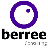 Berree Consulting Ltd.