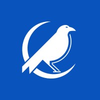 Raven Intelligence logo - Similar company to Langtech Group Ltd