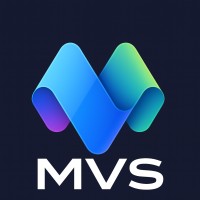 Millennials Virtual Services INC logo - Similar company to Language Line Services, Inc.