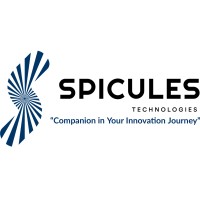 Spicules Technologies logo - Similar company to Punditas Llc