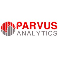 Parvus Analytics Private Limited logo - Similar company to Beno Support