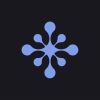 Nexus Solutions logo - Similar company to Voxia Hub