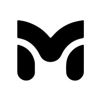 Virtual Minds logo - Similar company to Virtual Minds