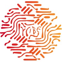 Tribetech logo - Similar company to Tribetech