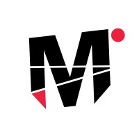 Flemmo Music Global (FMG) logo - Similar company to Netrilis