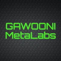 GAWOONI MetaLabs logo - Similar company to Lussa