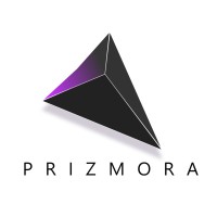 Prizmora logo - Similar company to Triaxia Infotech Pvt Ltd