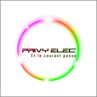 Privy Elec logo - Similar company to Gte Elec