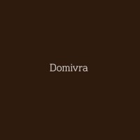 Domivra logo - Similar company to Soulflex