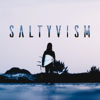 SALTYvism Project logo - Similar company to Filmcook