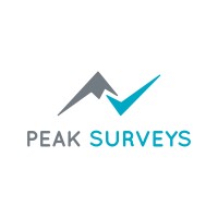 Peak Surveys logo - Similar company to Issac Llc