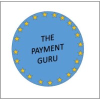 The Payment Guru logo - Similar company to The Payment App