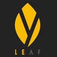 Yellow Leaf Technologies logo - Similar company to New Jersey Code & Coffee