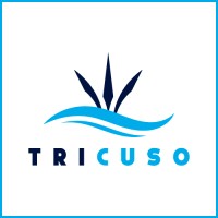 TRICUSO logo - Similar company to Cpdmatch