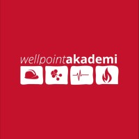 Wellpoint Akademi logo - Similar company to Wellpoint Group Of Companies