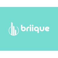 Briique LLC logo - Similar company to Copao Technologies Pvt Ltd
