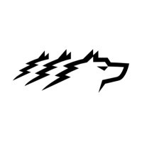 Wolf Group Ukraine | Penosil Ukraine logo - Similar company to Tet Cloud Украïна