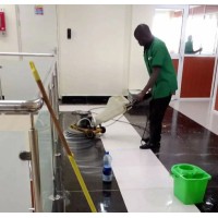Green Icon Cleaning Services logo - Similar company to Saferique Ehs Services Limited