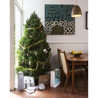 Melbourne Christmas Trees logo - Similar company to Relación