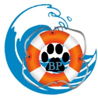 Brave Paws Az