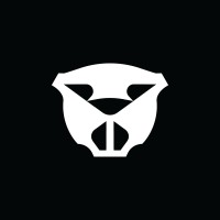Streaver logo - Similar company to Wyeworks