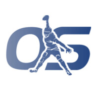 Optimum Scouting logo - Similar company to Blesto